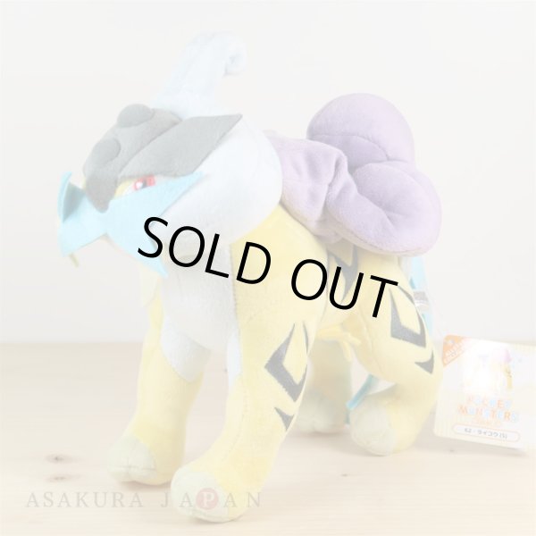 Shiny clearance raikou plush