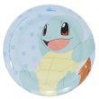 Photo1: Pokemon 2019 Tableware Melamine Plate Squirtle dot (1)