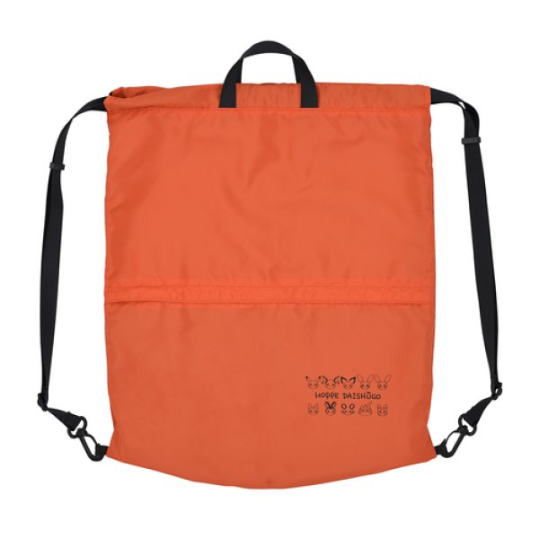 knapsack bookbag