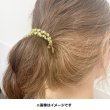 Photo2: Pokemon Center 2020 Pokemon accessory Series Hair bands H35 (2)