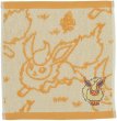 Photo1: Pokemon Center 2021 Eievui Collection Hand towel Handkerchief Flareon (1)