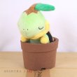 Photo4: Pokemon Center 2021 Grassy Gardening Turtwig Plush doll (4)