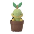 Photo1: Pokemon Center 2021 Grassy Gardening Turtwig Plush doll (1)