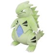 Photo1: Pokemon 2021 ALL STAR COLLECTION Tyranitar Plush Toy SAN-EI (1)