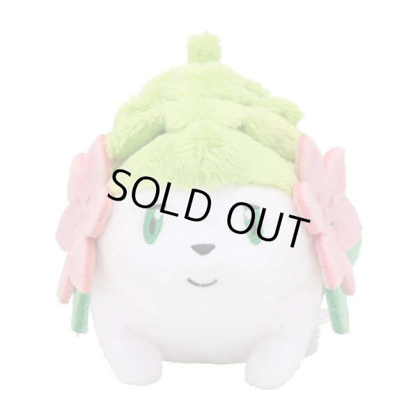 Photo1: Pokemon Center 2021 Pokemon fit Mini Plush #492 Shaymin - Land Forme doll Toy (1)