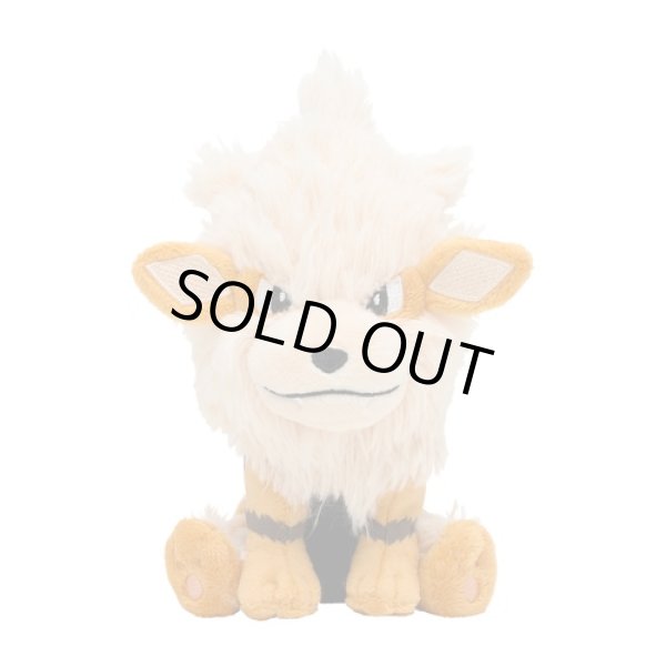 Photo1: Pokemon Center 2018 Pokemon fit Mini Plush #59 Arcanine doll Toy (1)