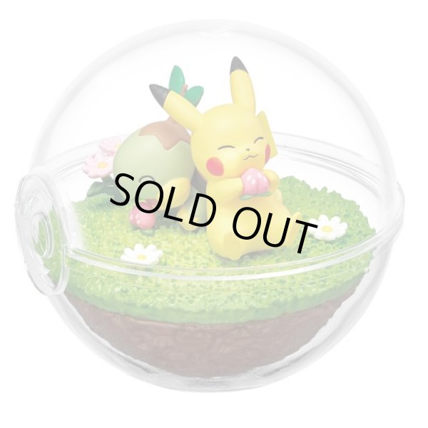 Photo1: Pokemon 2022 Terrarium Collection vol.11 #1 Pikachu & Turtwig Mini Figure (1)