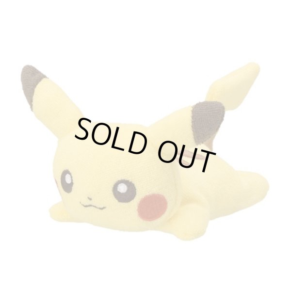 Photo1: Pokemon Center 2022 Washable Plush doll Pikachu (1)