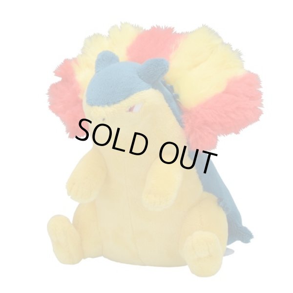 Photo1: Pokemon Center 2019 Pokemon fit Mini Plush #157 Typhlosion doll Toy (1)