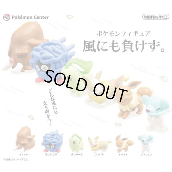 Pokemon Center 2023 Figure Not Losing Against The Wind Cubchoo