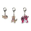 Photo1: Pokemon Center 2023 Metal Charm # 551 552 553 Sandile Krokorok Krookodile (1)