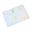 Photo3: Pokemon Center 2024 TeraCute A4 Size Clear File Folder (3)