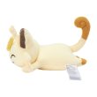 Photo3: Pokemon Center 2024 Washable Plush doll Meowth (3)