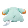 Photo4: Pokemon Center 2024 Washable Plush doll Phanpy (4)