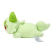 Photo3: Pokemon Center 2024 Washable Plush doll Sprigatito (3)