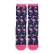 Photo2: Pokemon Center 2024 Middle Socks for Women 23 - 25 cm 1 Pair Flamigo (2)