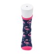 Photo4: Pokemon Center 2024 Middle Socks for Women 23 - 25 cm 1 Pair Flamigo (4)