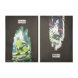 Photo2: Pokemon Center 2024 STRANGE PARADOX A4 Size Clear File Folder 2pc Future (2)