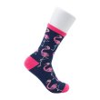 Photo5: Pokemon Center 2024 Middle Socks for Women 23 - 25 cm 1 Pair Flamigo (5)