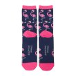 Photo3: Pokemon Center 2024 Middle Socks for Women 23 - 25 cm 1 Pair Flamigo (3)