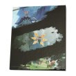 Photo4: Pokemon Center 2024 STRANGE PARADOX Postcard Binder (4)