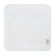 Photo2: Pokemon Center 2024 Hand towel Handkerchief PAMO NO MURE Electric (2)