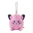 Photo1: Pokemon Center 2024 Night Arcade Plush Mascot Key chain Clefairy (1)