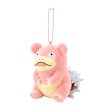 Photo1: Pokemon Center 2024 Dondon Donkan Yaan? Plush Mascot Key chain Slowbro (1)