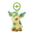 Photo2: Pokemon Center 2024 Plush Mascot with Carabiner Key chain Leafeon (2)