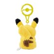 Photo3: Pokemon Center 2024 Plush Mascot with Carabiner Key chain Pikachu (3)