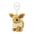 Photo2: Pokemon Center 2024 Plush Mascot with Carabiner Key chain Eevee (2)