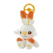 Photo2: Pokemon Center 2024 Plush Mascot with Carabiner Key chain Scorbunny (2)