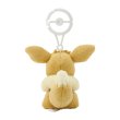 Photo4: Pokemon Center 2024 Plush Mascot with Carabiner Key chain Eevee (4)