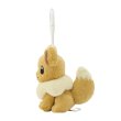 Photo3: Pokemon Center 2024 Plush Mascot with Carabiner Key chain Eevee (3)