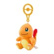 Photo2: Pokemon Center 2024 Plush Mascot with Carabiner Key chain Charmander (2)