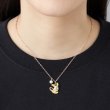 Photo3: Pokemon Center 2025 Similar Companions Necklace Alola Raichu (3)