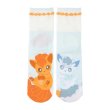 Photo1: Pokemon Center 2025 Similar Companions Socks for Women 23 - 25 cm 1 Pair Vulpix (1)