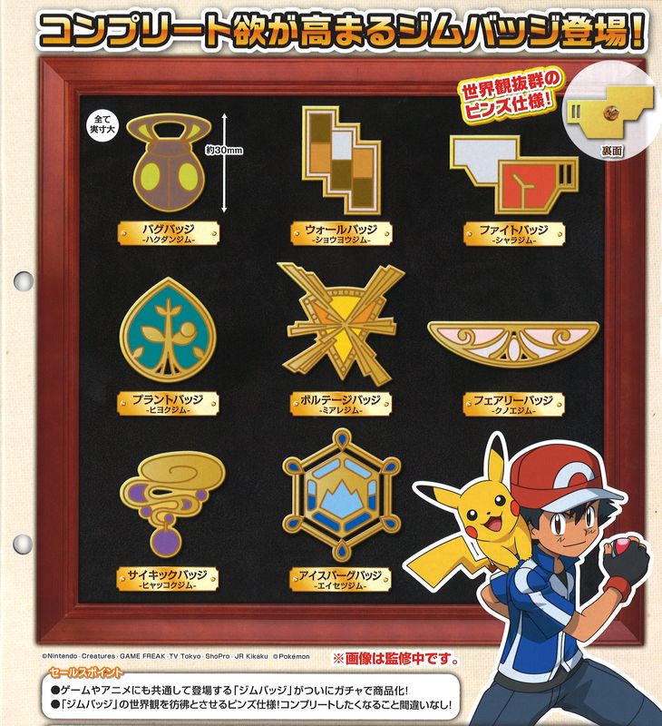 Pokemon XY&Z 2015 Metal collection Gym badge Special Cyllage City